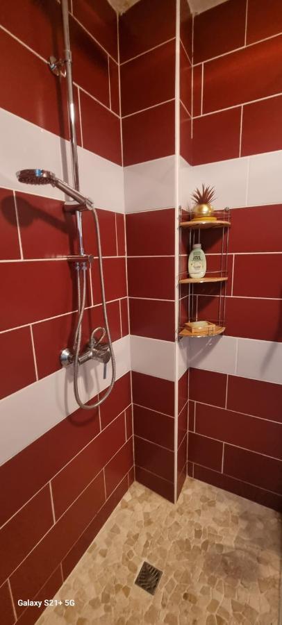 Rosa Solarium 97 Apartman Sainte-Anne  Kültér fotó